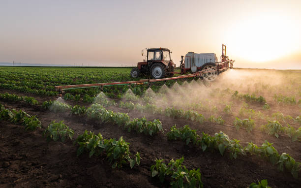 Best Commercial Pest Control Services  in Great Neck Estates, NY