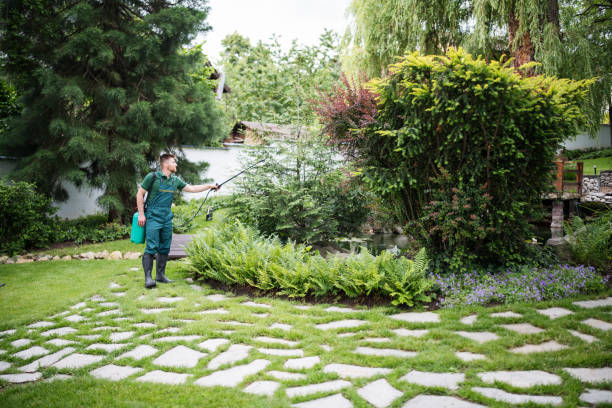 Best Pest Control Near Me in Great Neck Estates, NY