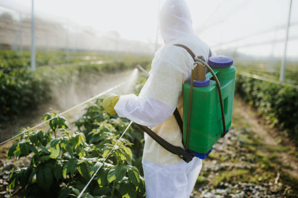 Best Pest Prevention Services  in Great Neck Estates, NY